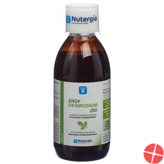Nutergia Ergydesmodium Flasche 250ml