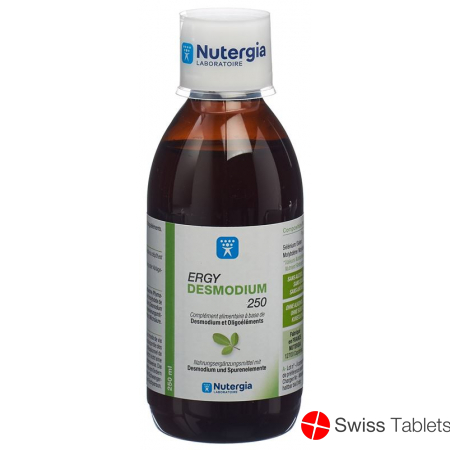 Nutergia Ergydesmodium Flasche 250ml buy online