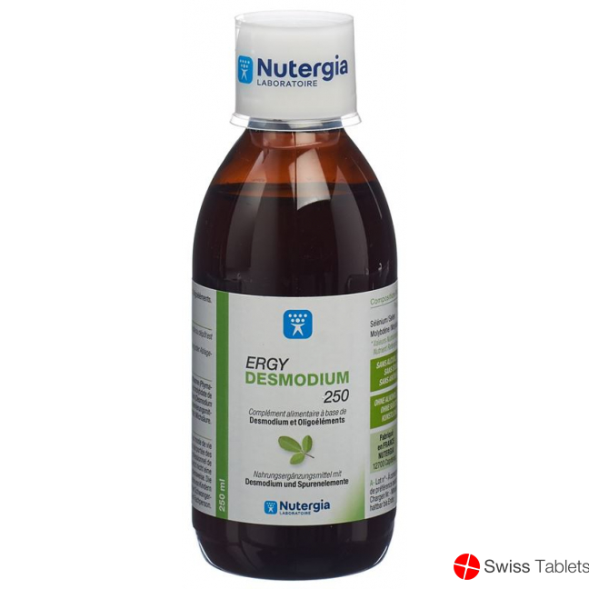 Nutergia Ergydesmodium Flasche 250ml buy online
