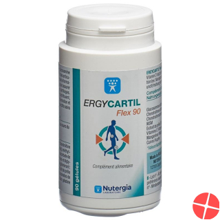 Nutergia Ergycartil Plus Gelules 90 Stück