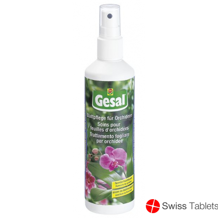 Gesal Blattpflege Orchideen Spray 250ml buy online