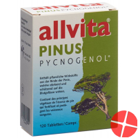 Allvita Pinus Pycnogenol tbl 120 pcs