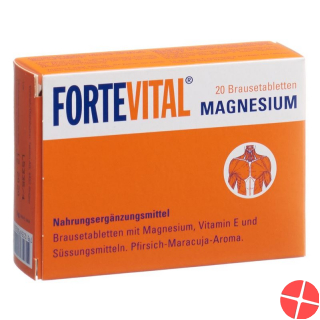 Fortevital Magnesium Brausetabletten 20 Stück