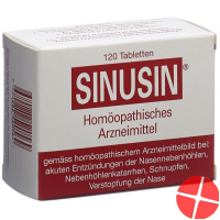 Sinusin 400mg 120 Tabletten