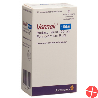 Vannair 100/6 dosing aerosols 120 doses