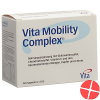 Vita Mobility Complex 240 Kapseln