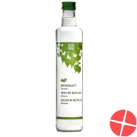 Naturkraftwerke Birkensaft Nativ Bio 500ml