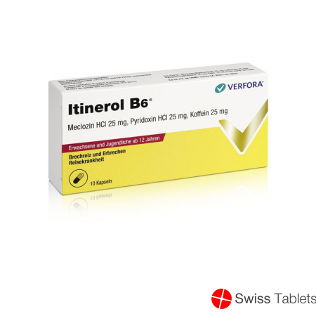 Itinerol B6 10 Kapseln buy online
