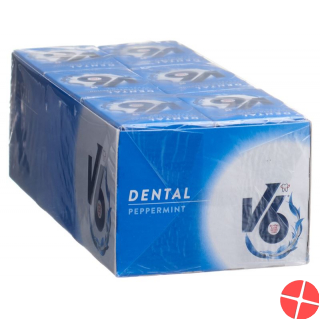 V6 Peppermint Kaugummi 1 Stück
