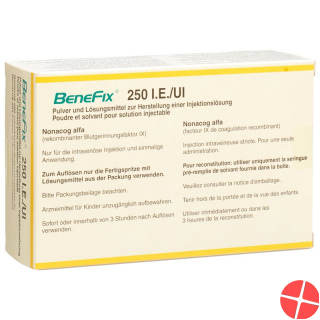 Benefix Trockensubstanz 250 Ie C Solv Durchstechflasche 5ml Benefix Trockensubstanz 250 Ie C Solv Durchstechflasche 5ml