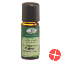Aromalife 10 ml cajeput essential oil Aromalife 10 ml cajeput essential oil
