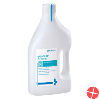 Gigasept Af Forte Flasche 2L