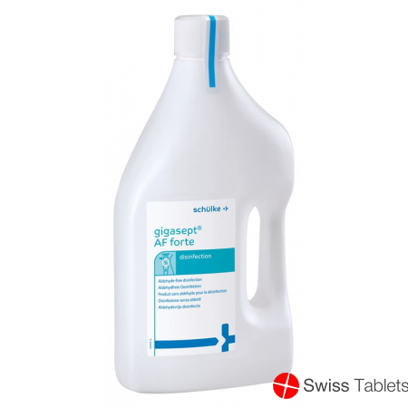 Gigasept Af Forte Flasche 2L buy online