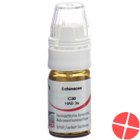 Omida Echinacea Globuli C 30 M Dosierhilfe 4g Omida Echinacea Globuli C 30 M Dosierhilfe 4g