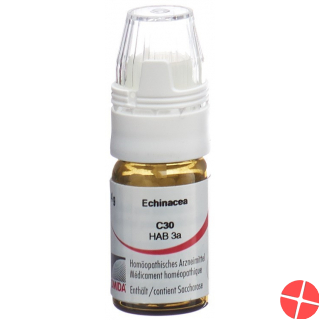 Omida Echinacea Globuli C 30 M Dosierhilfe 4g