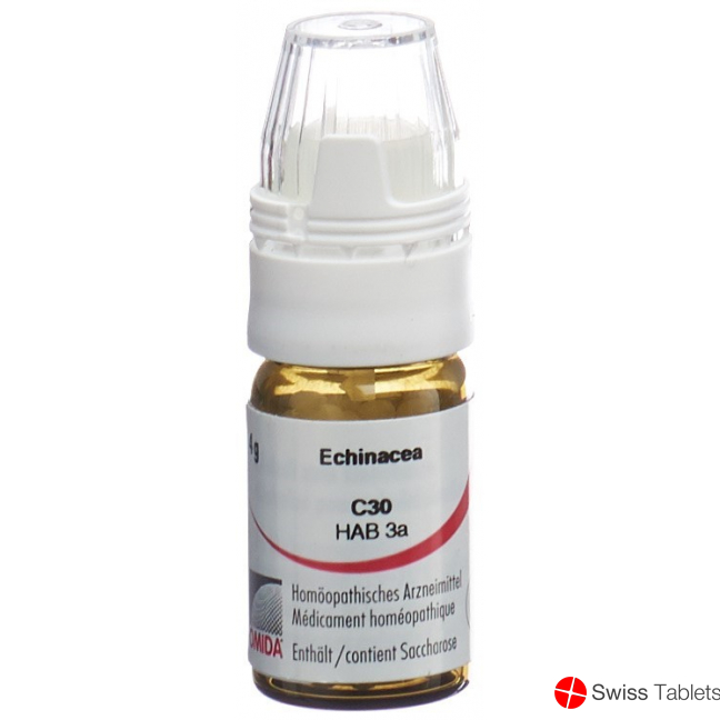 Omida Echinacea Globuli C 30 M Dosierhilfe 4g buy online