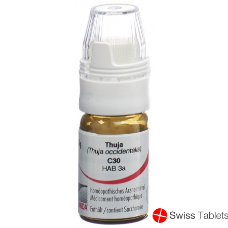 Omida Thuja Globuli C 30 M Dosierhilfe 4g buy online