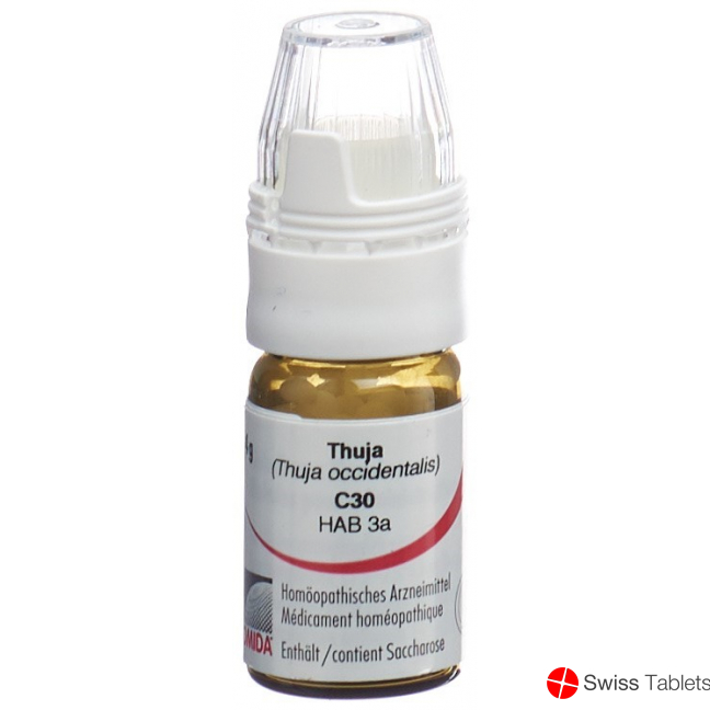 Omida Thuja Globuli C 30 M Dosierhilfe 4g buy online