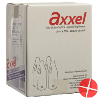 Axxel Javel Flüssig 4.75% Classic 4 Flasche 1L