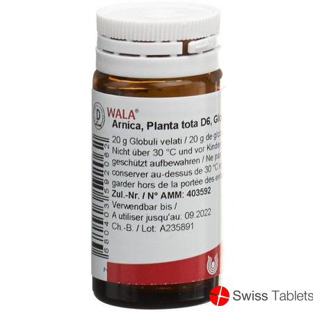 Wala Arnica E Planta Tota Globuli D 6 Flasche 20g buy online