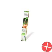 Biosun Wellmotion Ohrkerzen Eukalyptus und Kiefernadeln 1 Paar