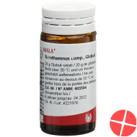 Wala Sarothamnus Comp Globuli Flasche 20g Wala Sarothamnus Comp Globuli Flasche 20g