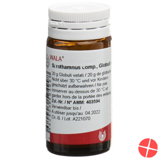 Wala Sarothamnus Comp Globuli Flasche 20g