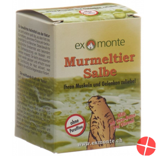 Exmonte Murmeltier Salbe Topf 100ml