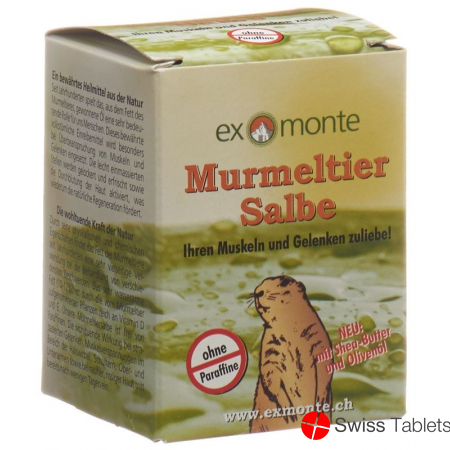 Exmonte Murmeltier Salbe Topf 100ml buy online Exmonte Murmeltier Salbe Topf 100ml buy online