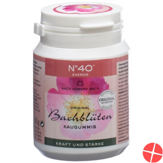 Dr. Bach Kaugummi für Energie Dose 60g Dr. Bach Kaugummi für Energie Dose 60g