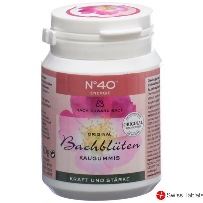 Dr. Bach Kaugummi für Energie Dose 60g buy online