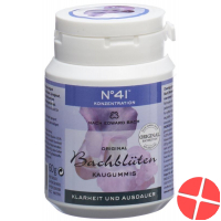 Dr. Bach Kaugummi für Konzentration Dose 60g