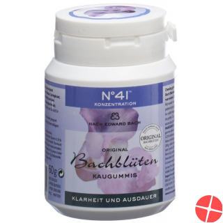 Dr. Bach Kaugummi für Konzentration Dose 60g
