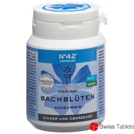 Dr. Bach Kaugummi für Selbstvertrauen Dose 60g buy online