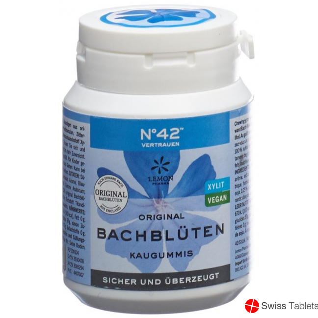 Dr. Bach Kaugummi für Selbstvertrauen Dose 60g buy online