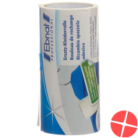 Ebnat clothes roller 4.5m replacement