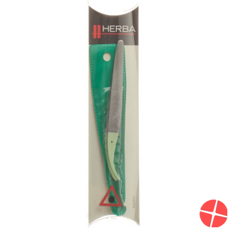 Tweezers tick tweezers