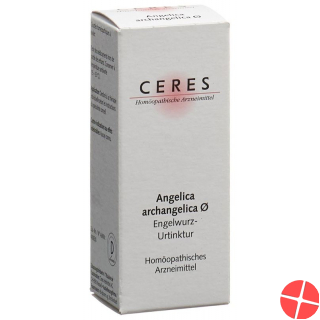 Ceres Angelica Archangelica 20 ml tincture