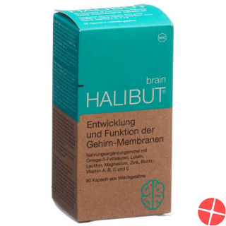 Halibut Brain Kapseln 90 Stück