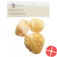 Hippocampe Natur Schwamm 300 3 Stück