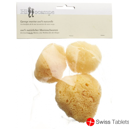 Hippocampe Natur Schwamm 300 3 Stück buy online