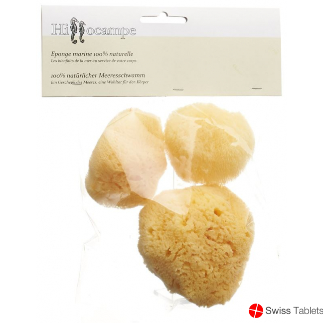 Hippocampe Natur Schwamm 300 3 Stück buy online