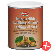 Morga Soja-Lecithin Dose 300g