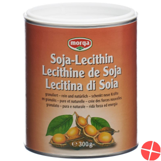 Morga Soja-Lecithin Dose 300g