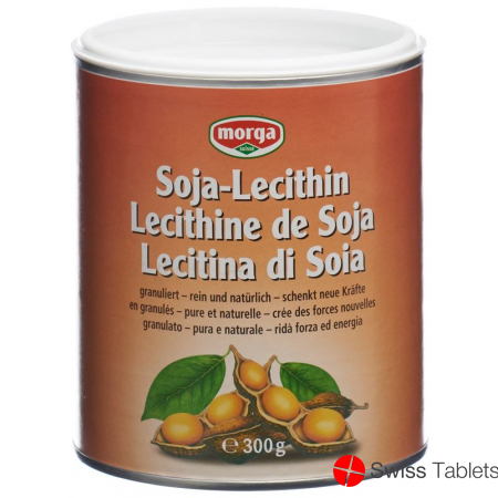 Morga Soja-Lecithin Dose 300g buy online