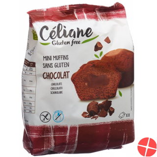 Alternis Moelleux Fondant Chocolat 210g