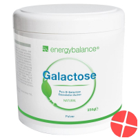 Energybalance Galactose Pulver Hochrein Dose 250g Energybalance Galactose Pulver Hochrein Dose 250g