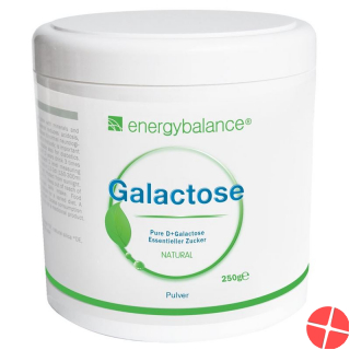 Energybalance Galactose Pulver Hochrein Dose 250g