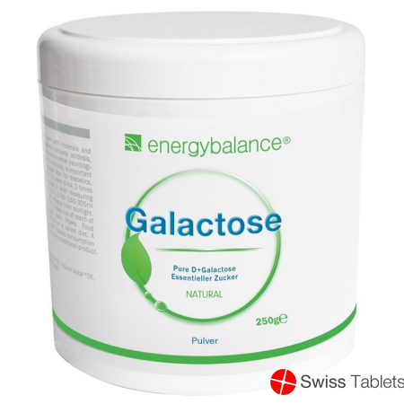 Energybalance Galactose Pulver Hochrein Dose 250g buy online