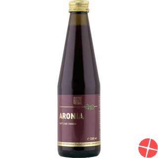 Naturkraftwerke Aronia Saft Bio/kba 330ml